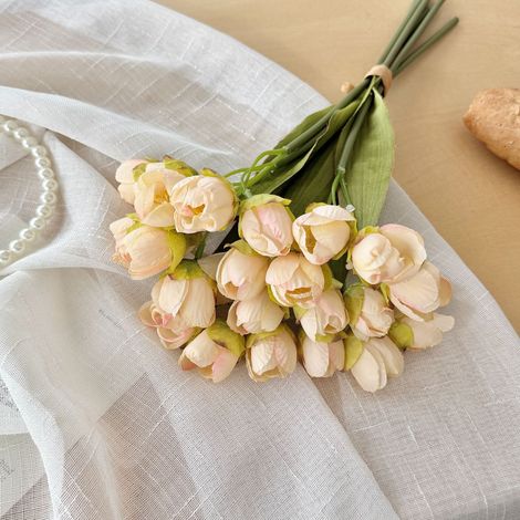 1 Bunch Artificial Tulip Flower for Home Decoration and Photography,Champagne (1/5)
