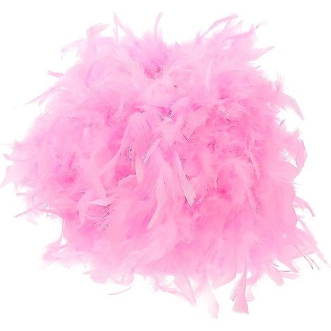 1 abat-jour en plumes (1/3)