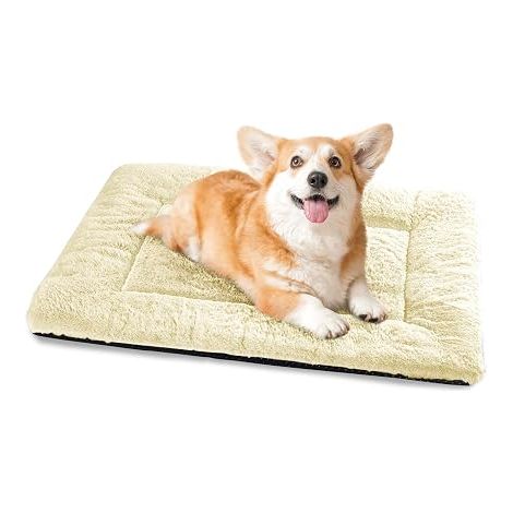 Panier Chien, Tapis Chien Grande Taille, Lavable, 75x50 cm Beige Matelas Chiens, Coussin Chien Imperméable avec Dessous Antidérapant Bed (1/5)
