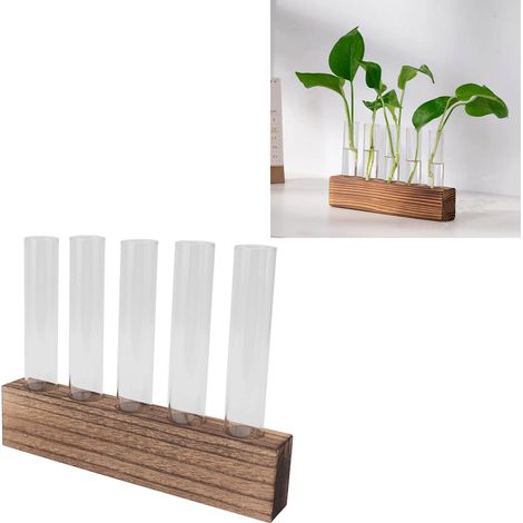 Vase hydroponique minimaliste et rafraîchissant en verre, support en bois grillé au charbon de bois, contenant de décoration de bureau/maison pour plantes pothos (cinq tubes) (1/5)