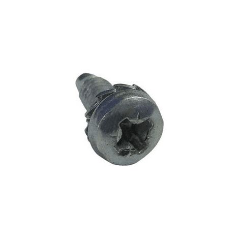 VIS DE PALIER pour SECHE LINGE INDESIT - C00250889 (1/3)