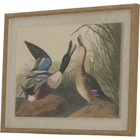 Flora & Fauna Collection Mallards on Linen in Beaded Frame - Glass - L2 x W40 x H50 cm - Brown