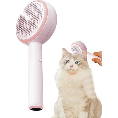 Brosse de pulvérisation pour chat – Brosse rechargeable autonettoyante pour (1/5)