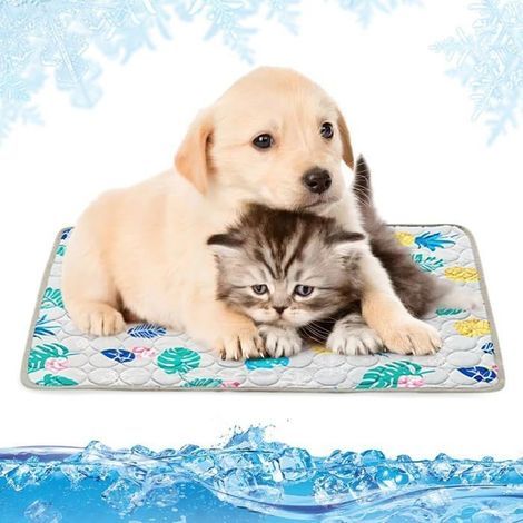 Tappetino rinfrescante (grigio) per cani, grande coperta rinfrescante per cani, taglia XL, 100 x 70 cm, atossico. (1/5)