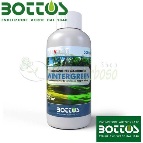 Wintergreen - Le thé des bois de Teinture de macroterme