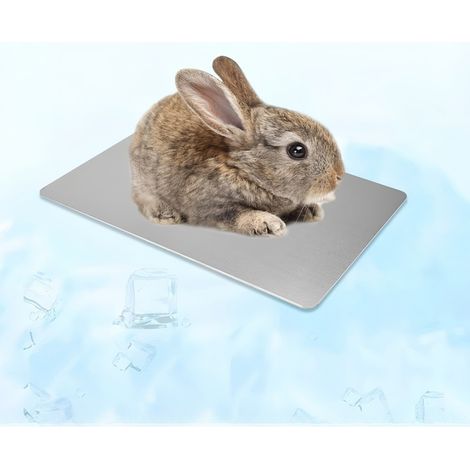 Tapis de refroidissement d'été pour petits animaux (1/5)