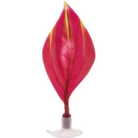 Feuilles de plantes aquatiques pour aquarium : une décoration esthétique et agréable. (1/5)