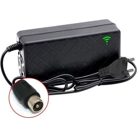 24V 2A Velo Electrique Velo Chargeur De Batterie Au Lithium Intelligent Sortie 29.4V 2A Chargeur Port Cc Chargeur Rapide Avec Ventilateur De Refroidissement, Prise Rca,DEBUNS (1/5)