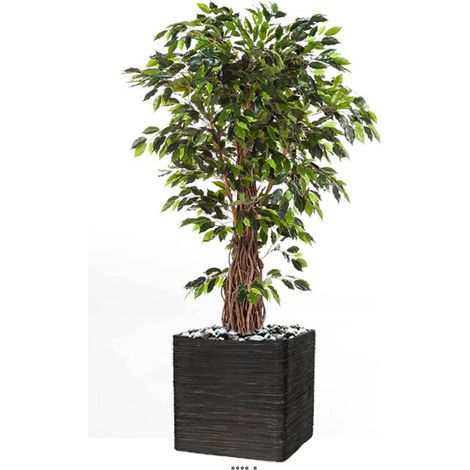 Ficus lianes artificiel luxe H 180 cm 1600 feuilles gros tronc en pot - dimhaut: H 180 cm - couleur: Vert