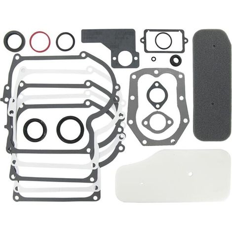 Set di guarnizioni 391807 BRIGGS ET STRATTON 393411