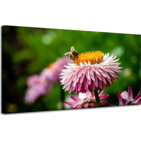 Leinwanddruck Biene auf einem Gänseblümchen 120x60 cm