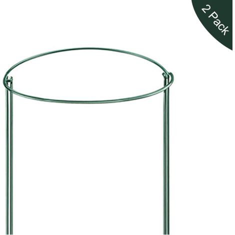 Set aus 2 halbrunden grünen Metall-Gartenstützen, Stützkäfig für Kletterpflanzen (Rosen, Blumen, Tomaten) (25 cm breit x 40 cm hoch) (1/5)