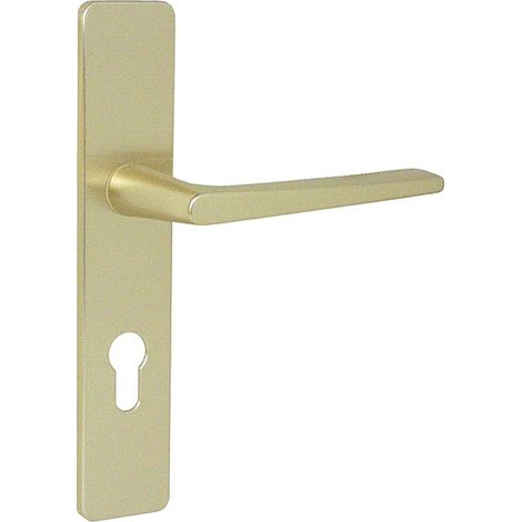 Ensemble RIVIERA réhaussé extérieur clé I champagne - VACHETTE - 011866 (1/2)
