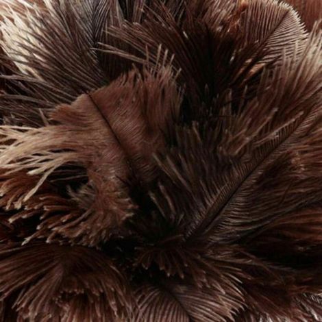 Plumeau d'autruche plumeau plumeau brosse en bois plume de poussière (1/5)