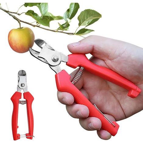 Garden Shears For Fruit Trees Ergonomic Fruit Picking Scissors Stainless Steel Curved Design Gardening Hand Tools For Apples Pears, Précis Confortable Robuste (1/4)