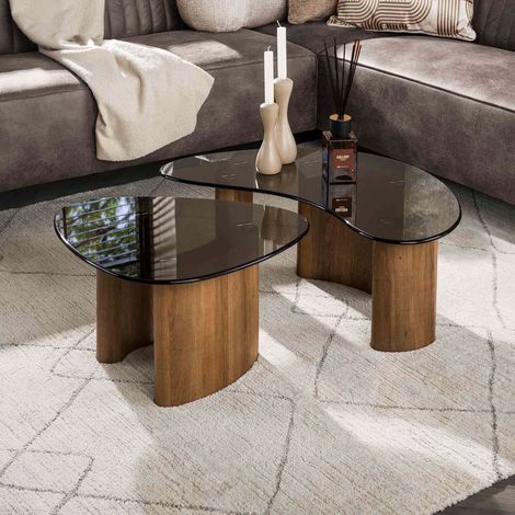 Lot de 2 tables basses organiques en verre fumé brun et bois