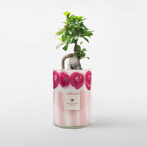 Bonsai Ficus Ginseng in vaso vetro decorato a mano Le Rose H 15 - Rosa