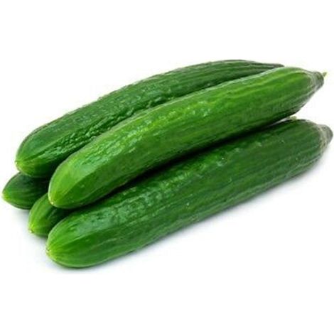 Semi di cetriolo "Marketmore 76" piante per orto e giardino