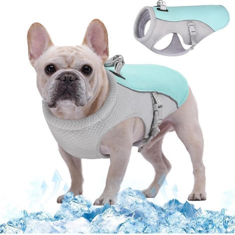Gilet rafraîchissant pour chien, Manteau de refroidissement pour chiens, Veste respirante de refroidissement pour animaux de compagnie, Gilet estival pour chiens,pour les activités en extérieur (1/5)