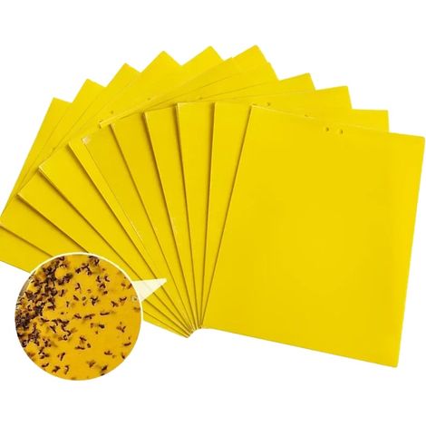 Trappola per insetti, con pannello adesivo bifacciale, efficace per il controllo dei parassiti, 40 pezzi (1/2)