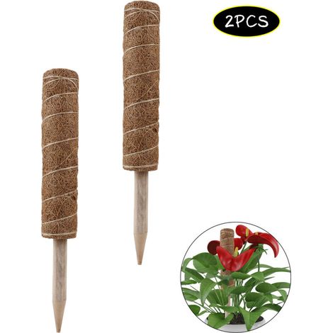 Pôle de Moss en Fibre de Coir Naturel - Tuteur Pour Plantes Grimpantes d'intérieur [30cm/35cm/40cm/45cm] - Support Solide avec Bois et Corde (1/4)