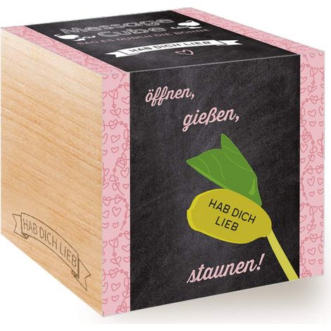 Feel Green Message Cube - Cubo in legno con incisione laser "Hab Dich Lieb", idea regalo sostenibile, 100% Eco Friendly, set di coltivazione, made in Austria (1/5)