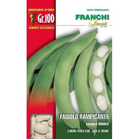 BUSTA SEMI DI FAGIOLO DI SPAGNA A GRANO BIANCO 100 GR ORTO GIARDINO SEMI