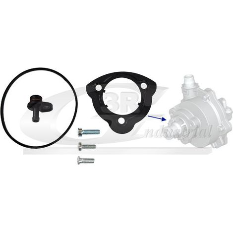 3RG 74103 KIT REPARACIÓN BOMBA VACÃÂO (3PCS)