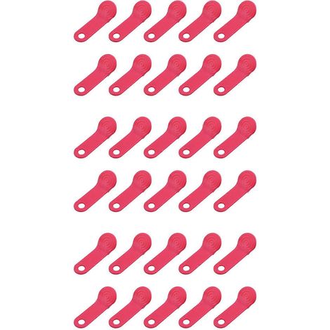 30 étiquettes iButton DS1990A-F5™ de type carte avec support mural rouge (1/5)