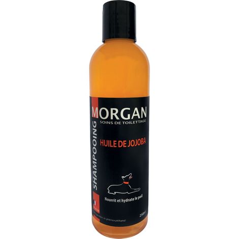 Shampooing huile de jojoba : 250ml