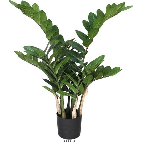 Zamifolia artificiel en pot H 70 cm 7 tiges (1/3)