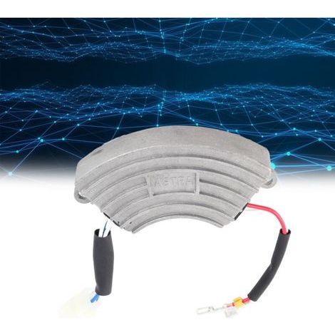 FENOPLASTICAAVR Régulateur de Tension 2-3kW pour Générateurs Essence Diesel Accessoires Compatible 168F 170F - KZQ (1/2)