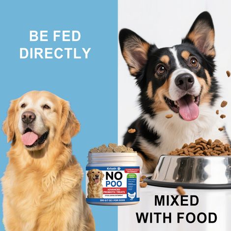 Comprimés à croquer à la formule douce pour chiens, assurant un soutien nutritionnel quotidien et la santé intestinale – 200 g (1/5)