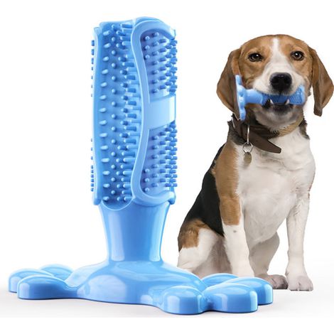 Brosse à Dents Masticable pour Chiens - Bâtonnet Dentaire en Caoutchouc Naturel - Jouets de Propreté Orale Anticroquants-Bleu (1/5)