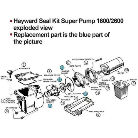 NALOOKAMIC Joint de remplacement de joint de pompe de piscine pour Hayward Super SP2600 1600 2600X Kit de réparation de joint de pompe de piscine