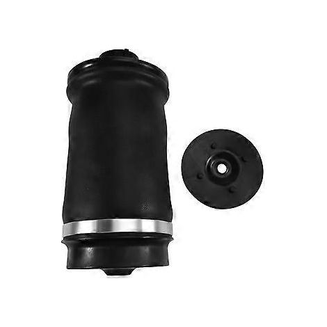 Ressort pneumatique arrière, coussin d'air 1643200625 pour W164ML (1/5)