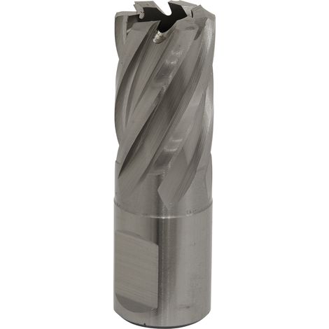 Sealey RBHSS19S Worksafe&reg 19mm HSS Mag Drill Bit Cut Depth 25mm