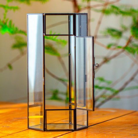 12,5x10x24 cm Petit Hexagonale Terrarium en Verre avec Maille et Porte pour Araignées, Insectes, Petit Plantes (Plantes et Accessoires Non Inclus) (1/5)