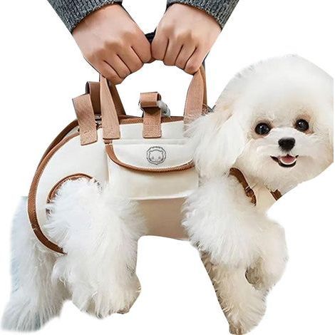 Sac à dos de transport pour animaux - Sac à dos pour chien avec pochette à friandises - Sac de transport portable et ajustable pour les sorties, promenades et entraînements en toute sérénité (1/5)