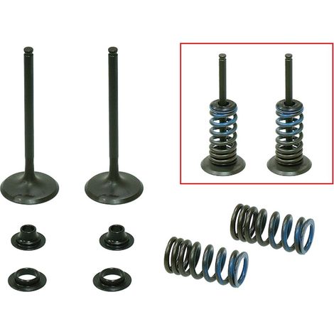 SOUPAPES D'ADMISSION PSYCHIQUES (ENSEMBLE DE SOUPAPES AVEC RESSORTS ET RONDELLES) HONDA CRF 250 R '04-'07, CRF 250 X '04-'17 ACIER (MX-09526I)
