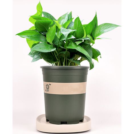 Socle mobile pour pot de fleurs avec roulettes pour la récupération de l'eau, roulettes pivotantes et rouleaux dissimulés grand support gris pour jardinière. (1/5)