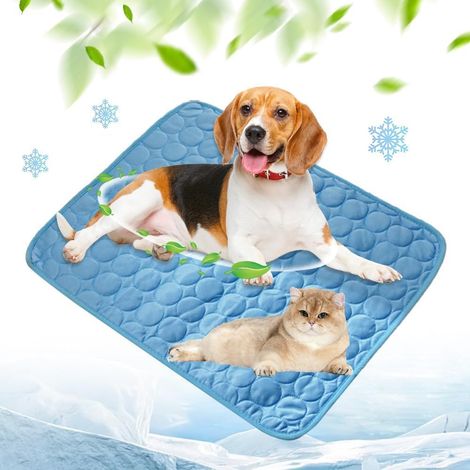 Alfombrilla refrescante para mascotas, alfombrilla de verano para perros y gatos (para interior y exterior), colchoneta para dormir (azul, 150 × 100 cm) (1/5)