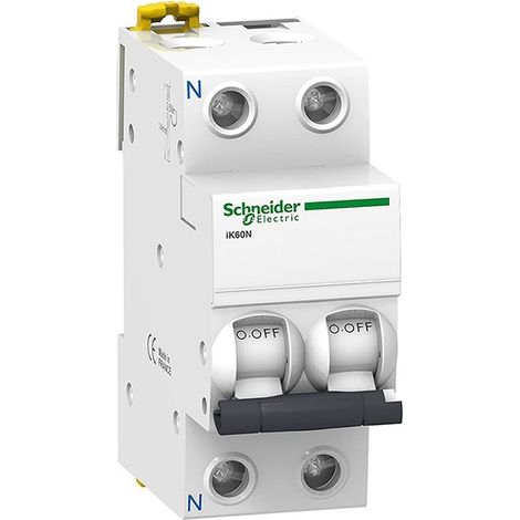 Interruptor automático bipolar de Schneider  20A