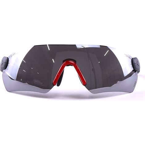 Protos integrale Schutzbrille für Helmsystem, Farbe:getönt (1/4)