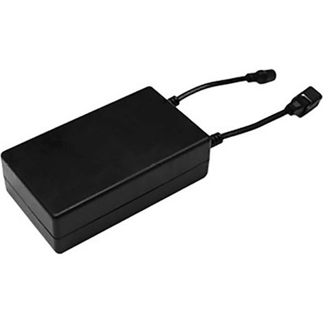 Batterie Li-ion 2000mAh Référence N°26647 - WALT (1/4)