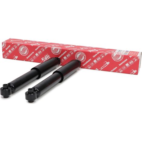 2 AMORTIGUADORES trasero izquierdo + derecho FIAT PANDA (169) (1/5)