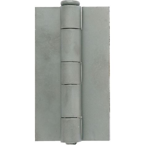 Bisagra de soldar con espiga para levantar al 60x46 1227 AL
