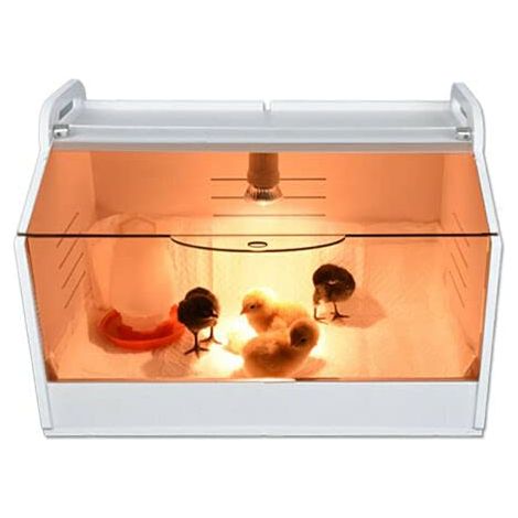 Incubatore per pulcini con termometro e lampada pulcini, incubatore per pollame, rettili e piccoli animali, 220 V (1/5)