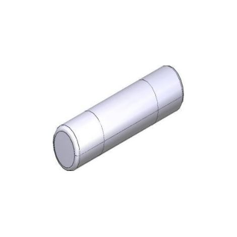 Conditionnement 10 fusibles rapides10 fusibles 10A CAME 119RIR320
