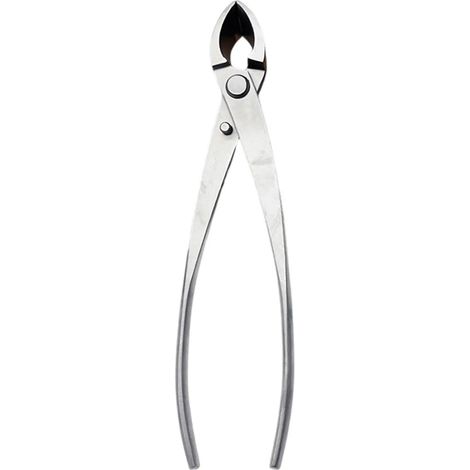 Outils pour bonsaïs, jardin, arbres, tumeurs, nœuds (1/5)